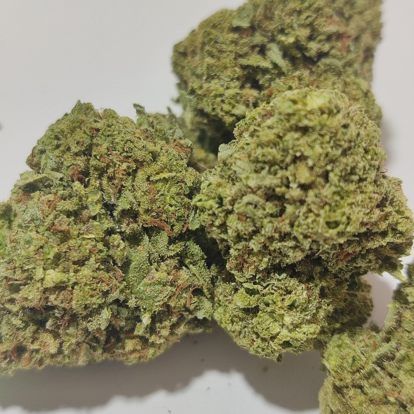 Flor de CBD GREEN POISON 15-18% CBD